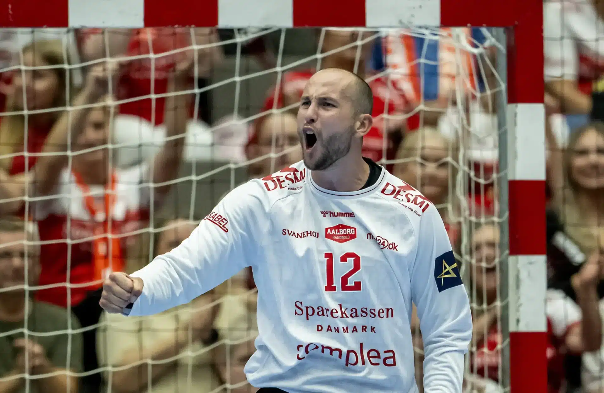 Veszprem3